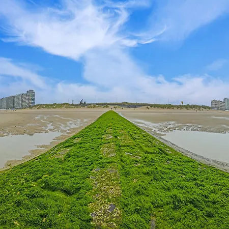 Retreat With Sunny Terrace, Cleaning Included * Middelkerke
